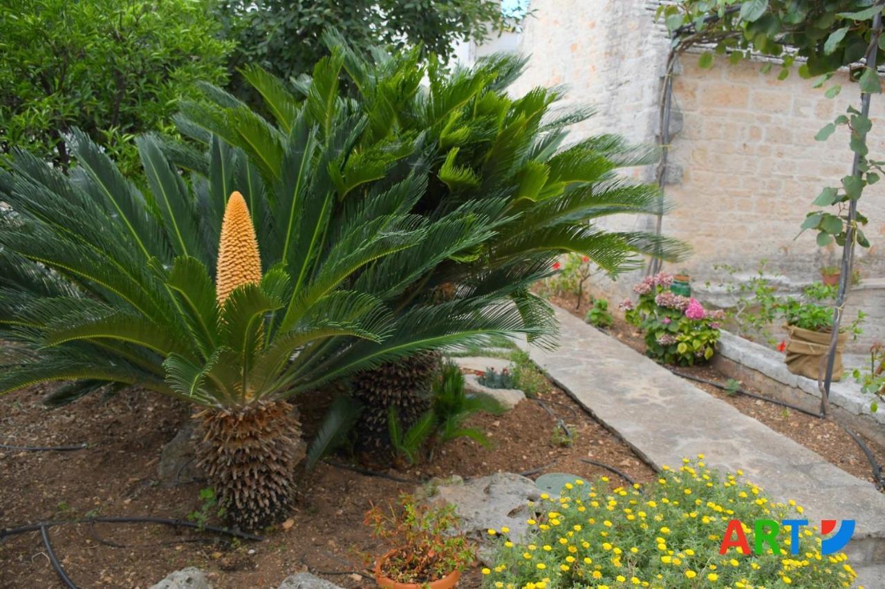 Trullo Al Vicoletto Al Civico 10, Civico 8, Civico 7 Villa Alberobello Exterior photo